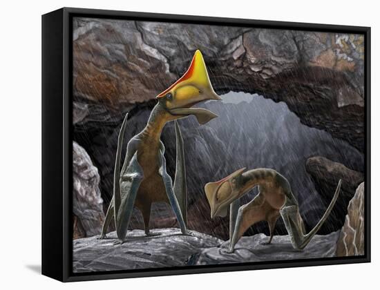 Tapejara Wellnhoferi Pterosaurs Seek Shelter Inside a Cave from a Rain Storm-null-Framed Stretched Canvas