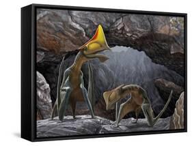 Tapejara Wellnhoferi Pterosaurs Seek Shelter Inside a Cave from a Rain Storm-null-Framed Stretched Canvas