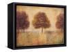 Tapestry Fields I-Ivo-Framed Stretched Canvas