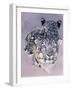 Tapestry in Grey-Barbara Keith-Framed Giclee Print