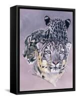 Tapestry in Grey-Barbara Keith-Framed Stretched Canvas