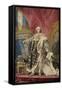 Tapestry of King Louis XV-Pierre Fran‡ois Cozette-Framed Stretched Canvas