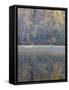 Tapestry-Doug Chinnery-Framed Stretched Canvas