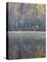 Tapestry-Doug Chinnery-Stretched Canvas