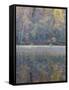 Tapestry-Doug Chinnery-Framed Stretched Canvas