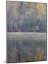 Tapestry-Doug Chinnery-Mounted Photographic Print