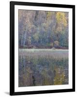 Tapestry-Doug Chinnery-Framed Photographic Print