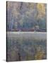 Tapestry-Doug Chinnery-Stretched Canvas