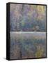 Tapestry-Doug Chinnery-Framed Stretched Canvas