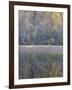 Tapestry-Doug Chinnery-Framed Photographic Print