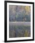 Tapestry-Doug Chinnery-Framed Photographic Print