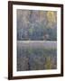 Tapestry-Doug Chinnery-Framed Premium Photographic Print