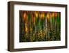 Tapestry-Ursula Abresch-Framed Photographic Print