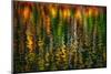 Tapestry-Ursula Abresch-Mounted Photographic Print