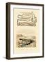 Tapeworm, 1833-39-null-Framed Giclee Print