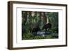 Tapir, 1860-null-Framed Premium Giclee Print