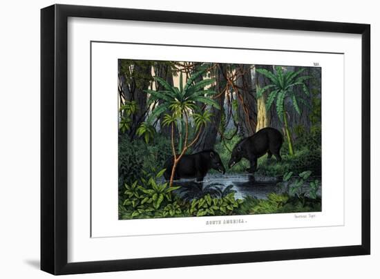 Tapir, 1860-null-Framed Premium Giclee Print