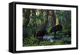 Tapir, 1860-null-Framed Stretched Canvas