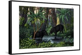 Tapir, 1860-null-Framed Stretched Canvas