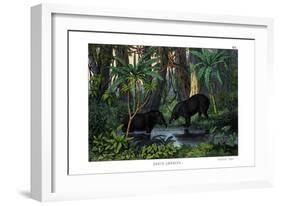 Tapir, 1860-null-Framed Giclee Print