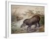 Tapir, 1880-Joseph Wolf-Framed Giclee Print