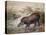 Tapir, 1880-Joseph Wolf-Stretched Canvas