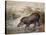 Tapir, 1880-Joseph Wolf-Stretched Canvas