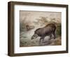Tapir, 1880-Joseph Wolf-Framed Premium Giclee Print