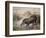 Tapir, 1880-Joseph Wolf-Framed Giclee Print