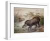 Tapir, 1880-Joseph Wolf-Framed Giclee Print