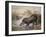 Tapir, 1880-Joseph Wolf-Framed Giclee Print