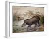 Tapir, 1880-Joseph Wolf-Framed Giclee Print