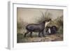 Tapir, 1880-Joseph Wolf-Framed Giclee Print