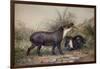 Tapir, 1880-Joseph Wolf-Framed Giclee Print