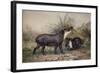 Tapir, 1880-Joseph Wolf-Framed Giclee Print