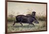 Tapir, 1880-Joseph Wolf-Framed Giclee Print