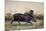 Tapir, 1880-Joseph Wolf-Mounted Premium Giclee Print