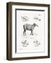 Tapir Skulls-null-Framed Premium Giclee Print