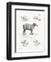 Tapir Skulls-null-Framed Premium Giclee Print