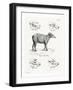 Tapir Skulls-null-Framed Giclee Print