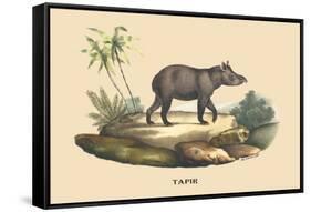 Tapir-E.f. Noel-Framed Stretched Canvas