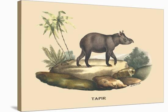 Tapir-E.f. Noel-Stretched Canvas