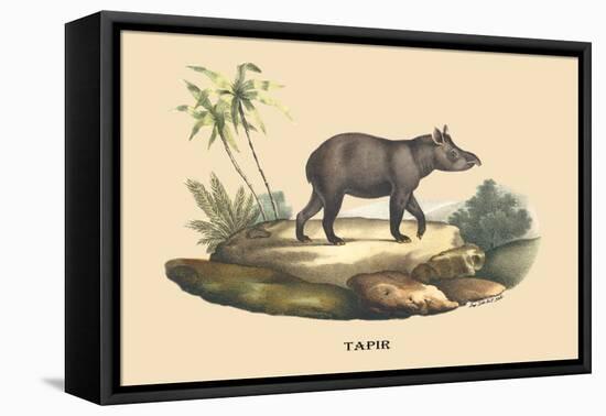 Tapir-E.f. Noel-Framed Stretched Canvas