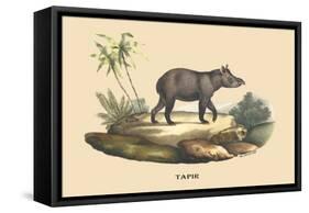 Tapir-E.f. Noel-Framed Stretched Canvas