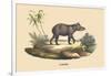 Tapir-E.f. Noel-Framed Premium Giclee Print