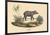 Tapir-E.f. Noel-Framed Premium Giclee Print