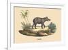 Tapir-E.f. Noel-Framed Premium Giclee Print