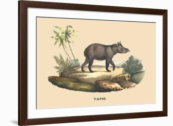 Tapir-E.f. Noel-Framed Premium Giclee Print