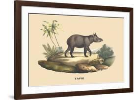 Tapir-E.f. Noel-Framed Premium Giclee Print