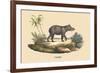 Tapir-E.f. Noel-Framed Premium Giclee Print